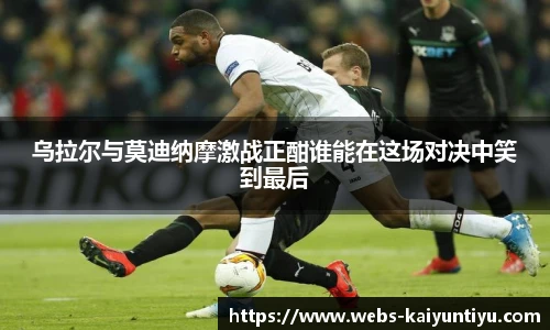 开云体育官网